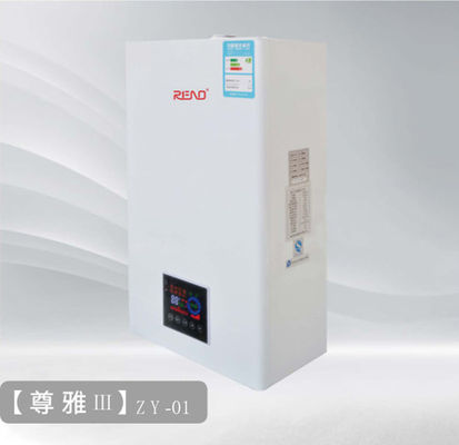 боилер Ng 24kw Lpg Combi функции боилера газа 26kw 30kw установленный стеной двойной