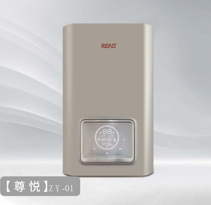 боилер Ng 24kw Lpg Combi функции боилера газа 26kw 30kw установленный стеной двойной